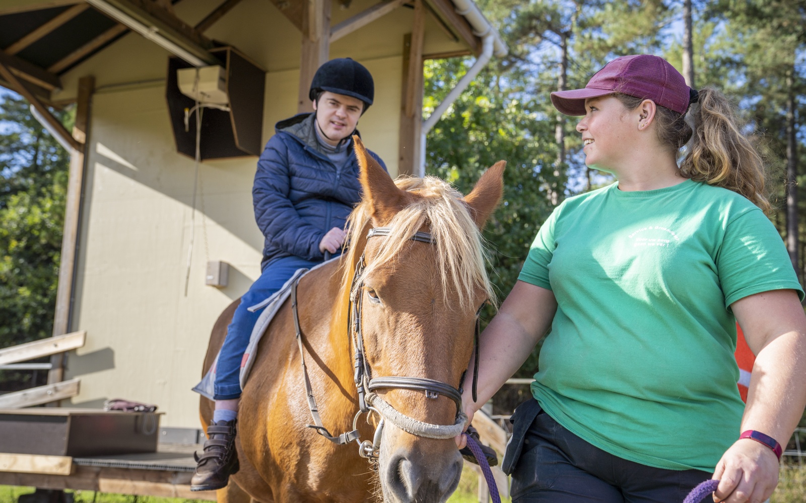 Paardenwerking Het GielsBos